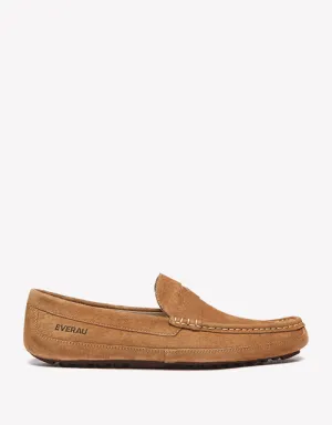 Beau in Chestnut